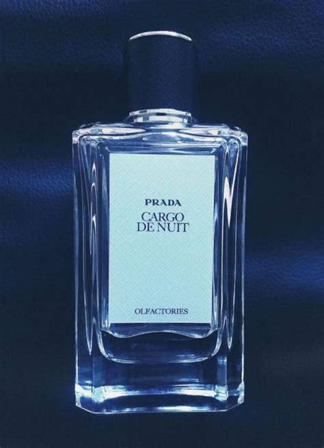 Cargo de Nuit Prada for women and men .